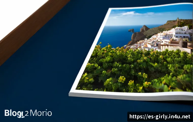 Dónde encontrar un castillo de princesas Disney: tiendas, precios y claves para elegirlo 4 디즈니 프린세스 성 구매처 추천 관련 이미지 2
